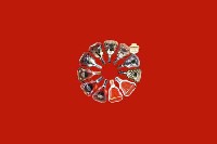 攀枝花市米易县回收红酒